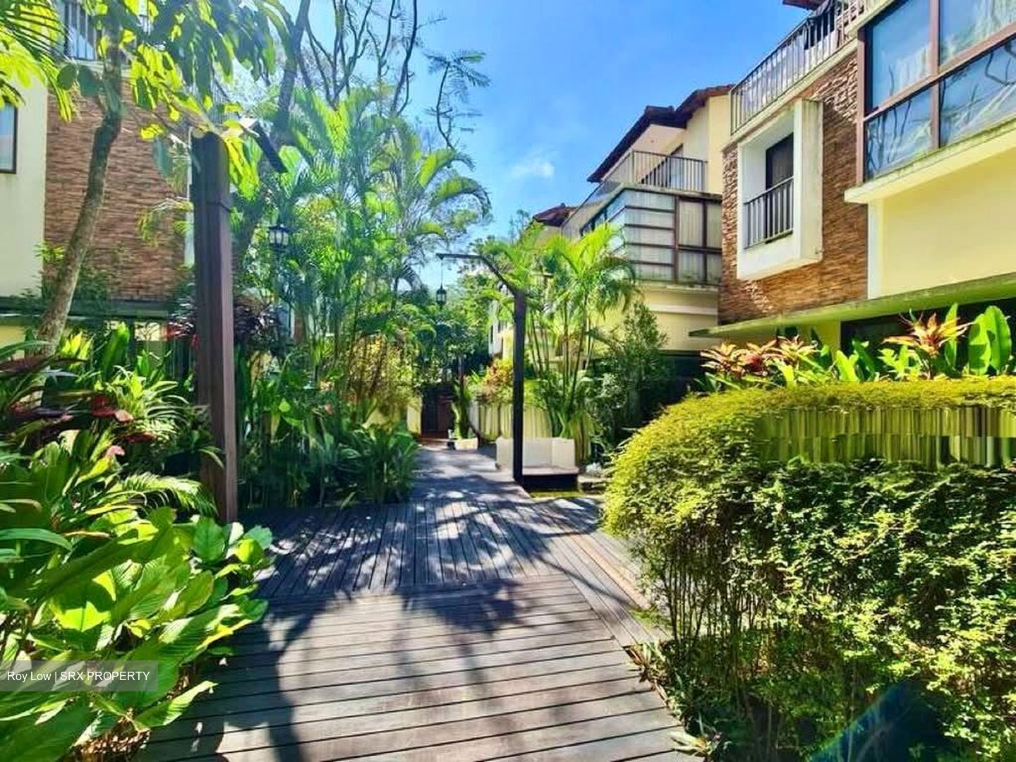 Lornie Road (D11), Terrace #566708341